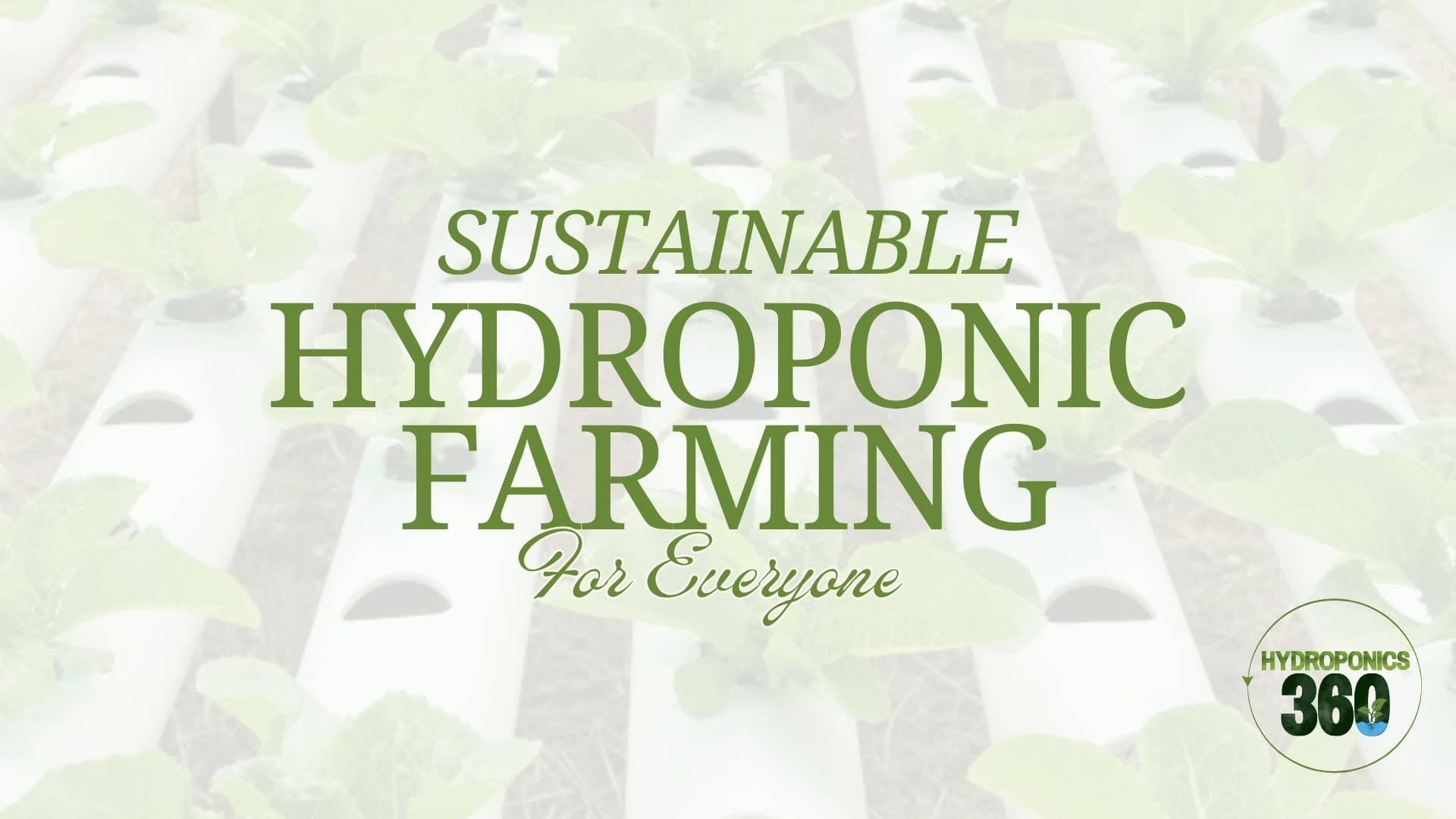 Sustainable Hydroponic Farming for Everyone