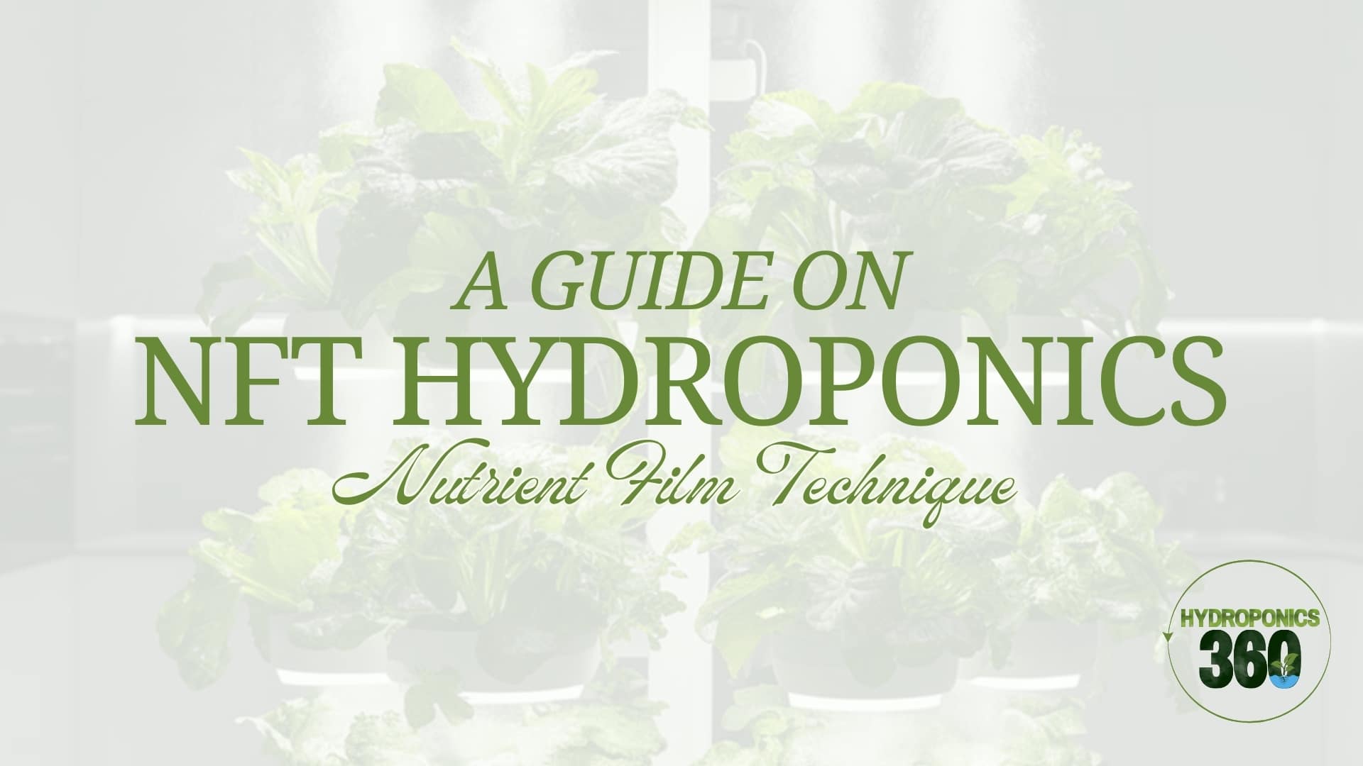 A Guide on NFT Hydroponics