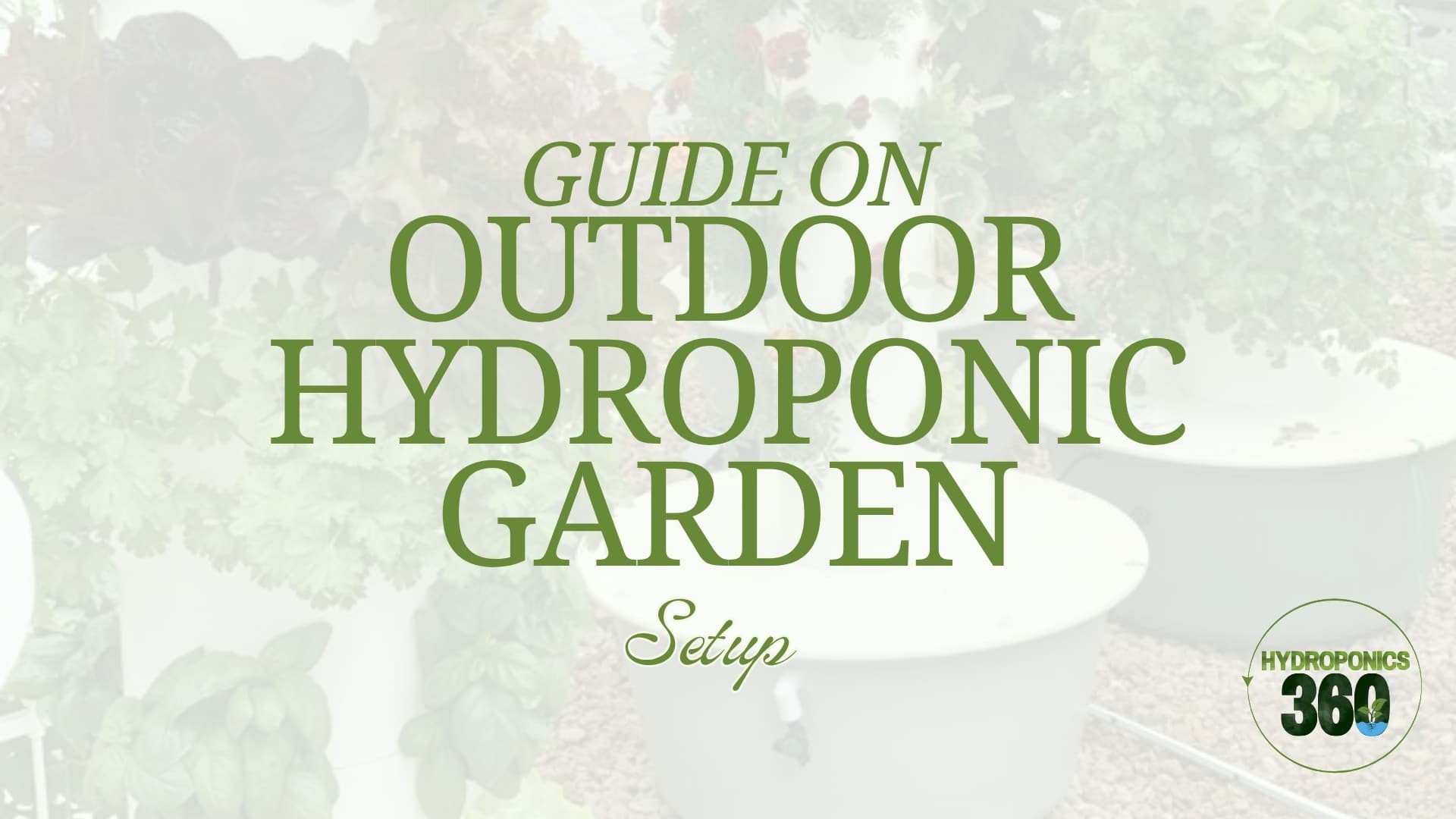 Guide on Outdoor Hydroponic Garden Setup