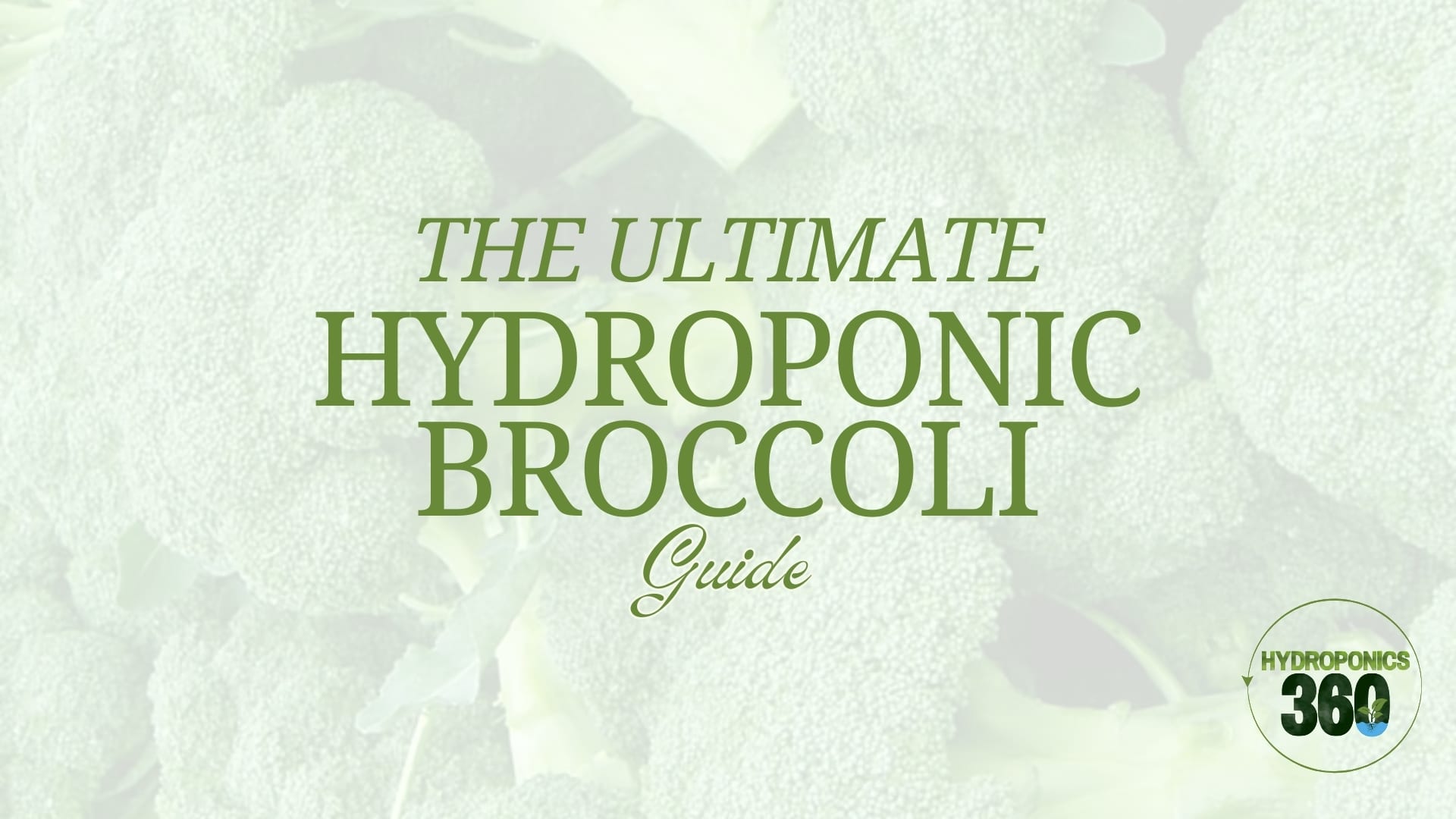 The Ultimate Hydroponic Broccoli Guide