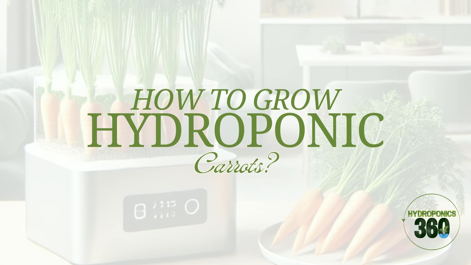 How to Grow Hydroponic Carrots?