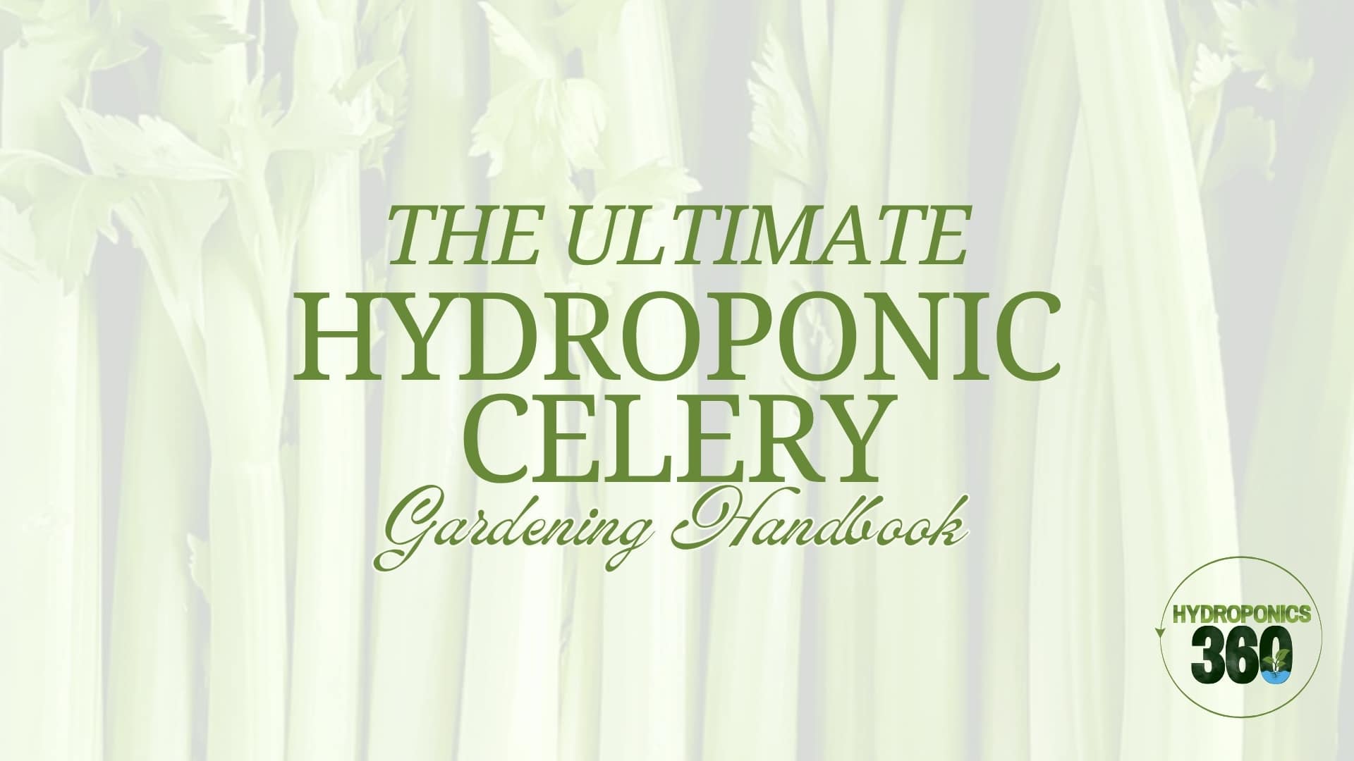 The Ultimate Hydroponic Celery Gardening Handbook