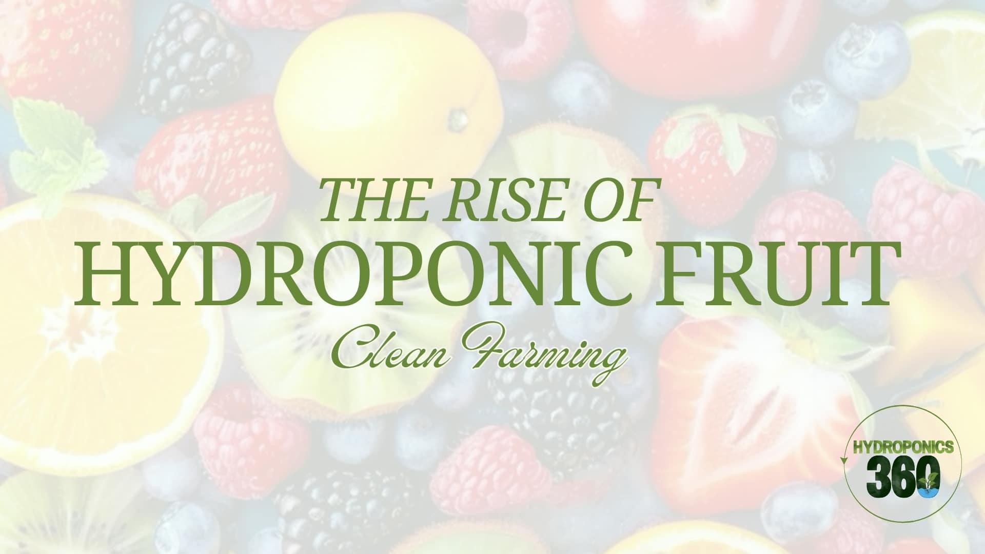 The Rise of Hydroponic Fruit: Clean Farming