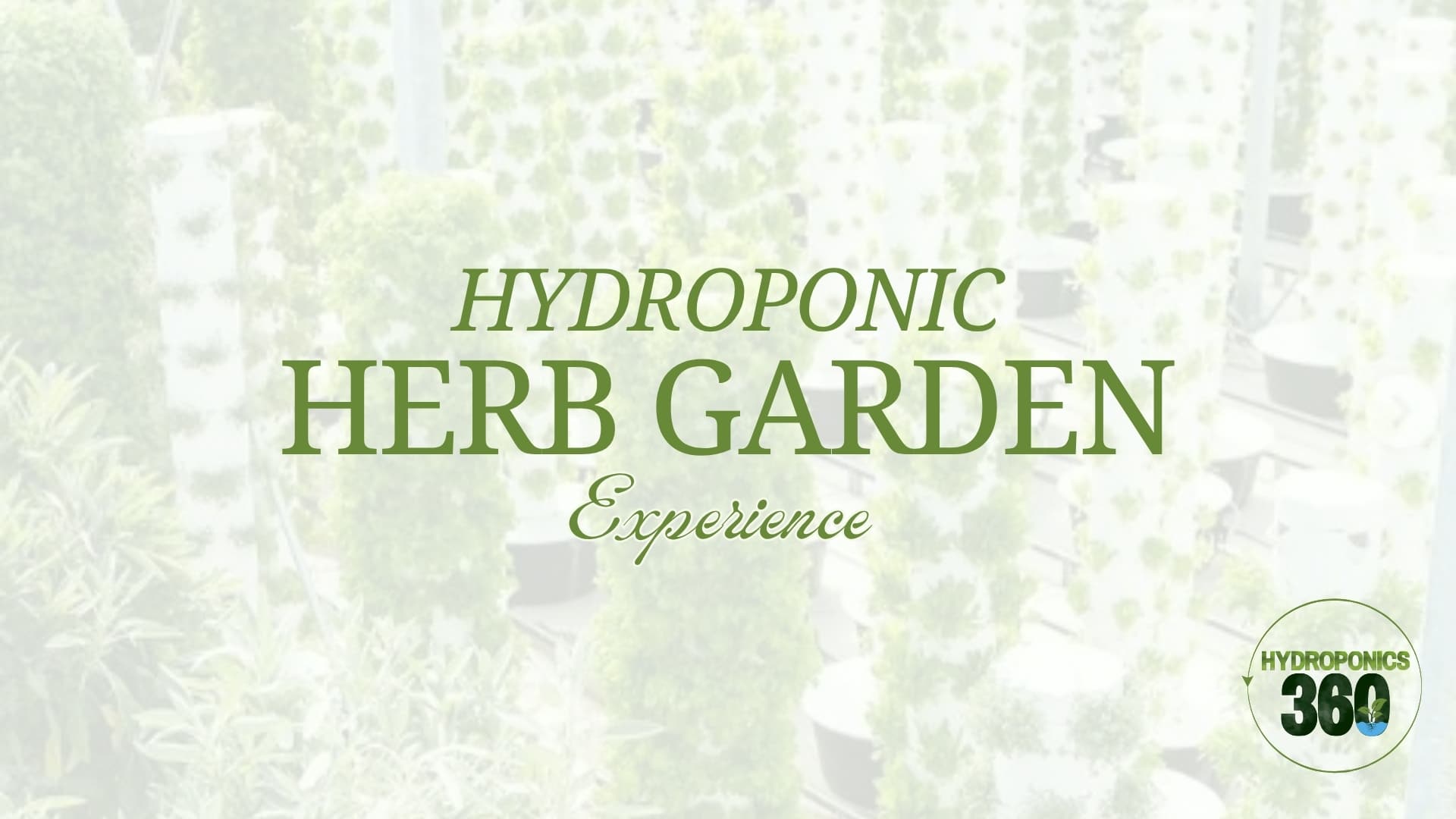 Hydroponic Herb Garden Experience
