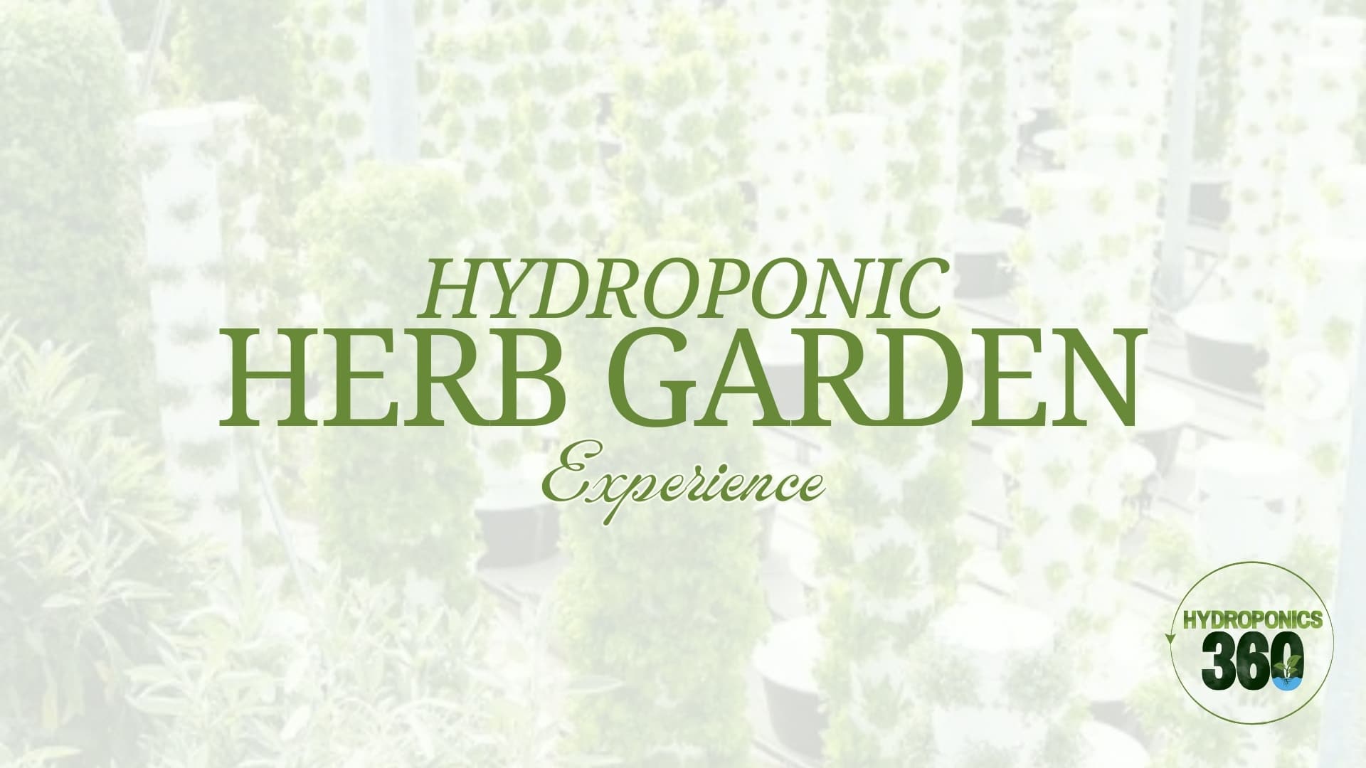 Hydroponic Herb Garden Experience