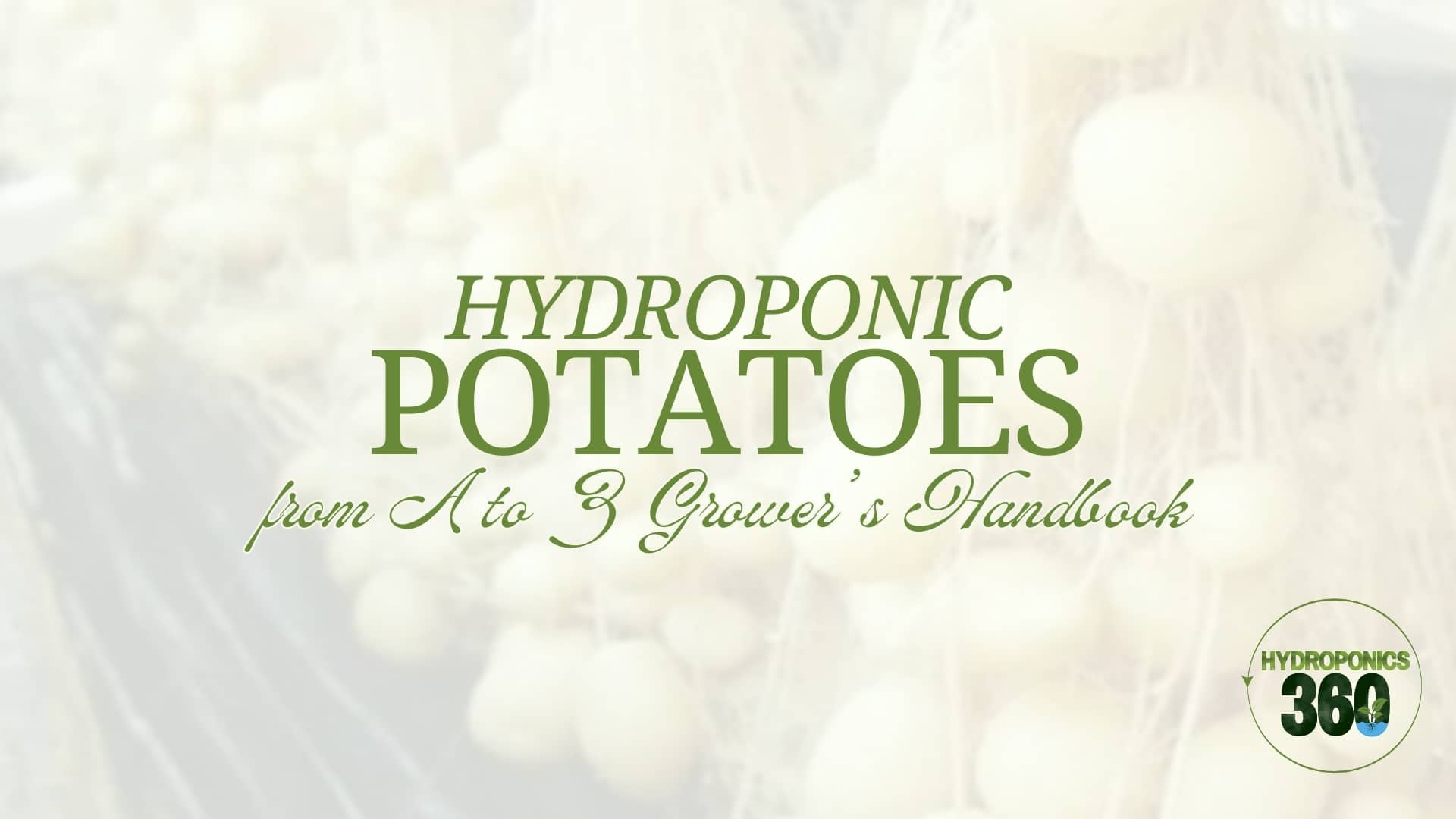 hydroponic potatoes