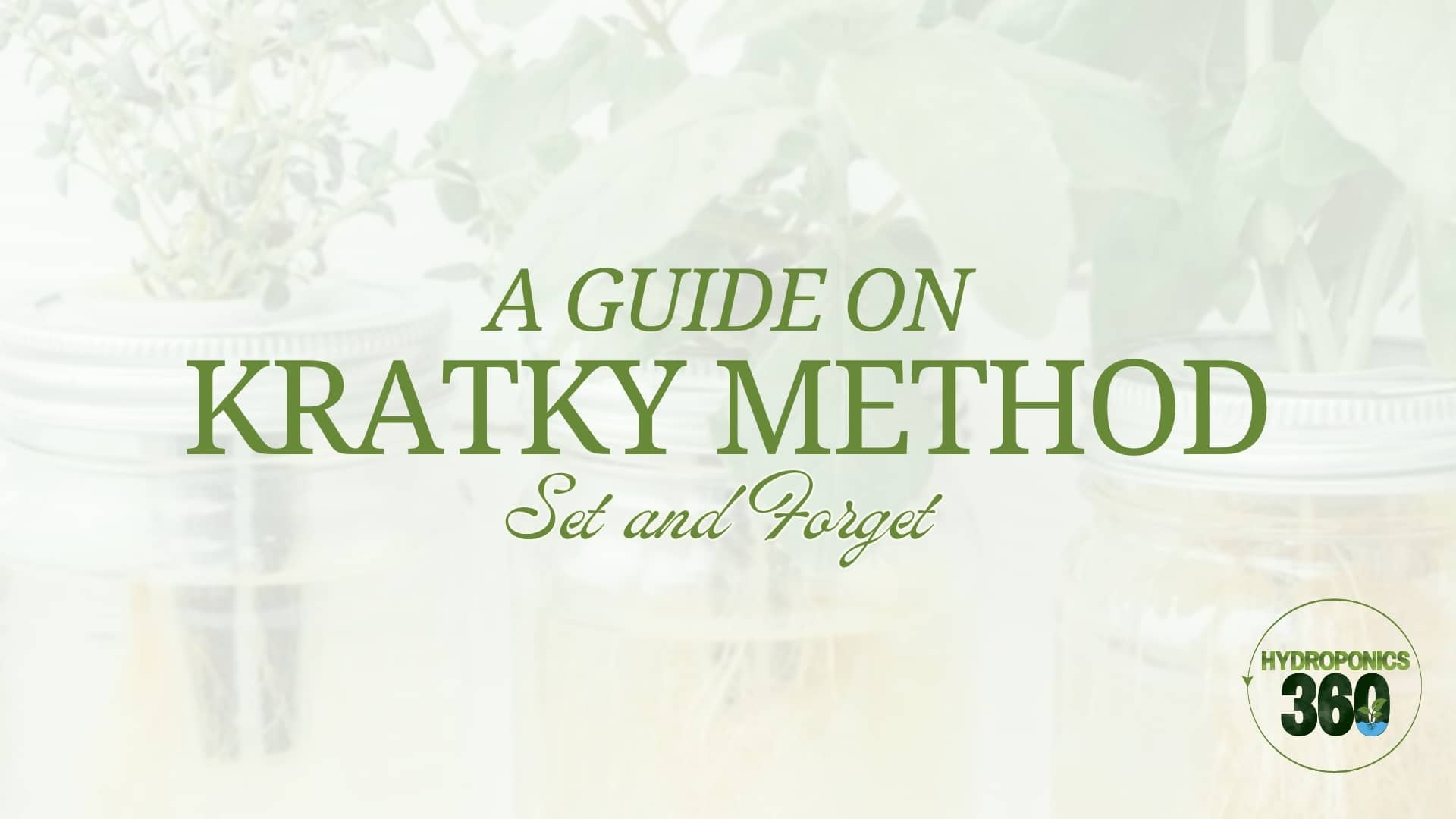 A Guide on Kratky Method: Set and Forget
