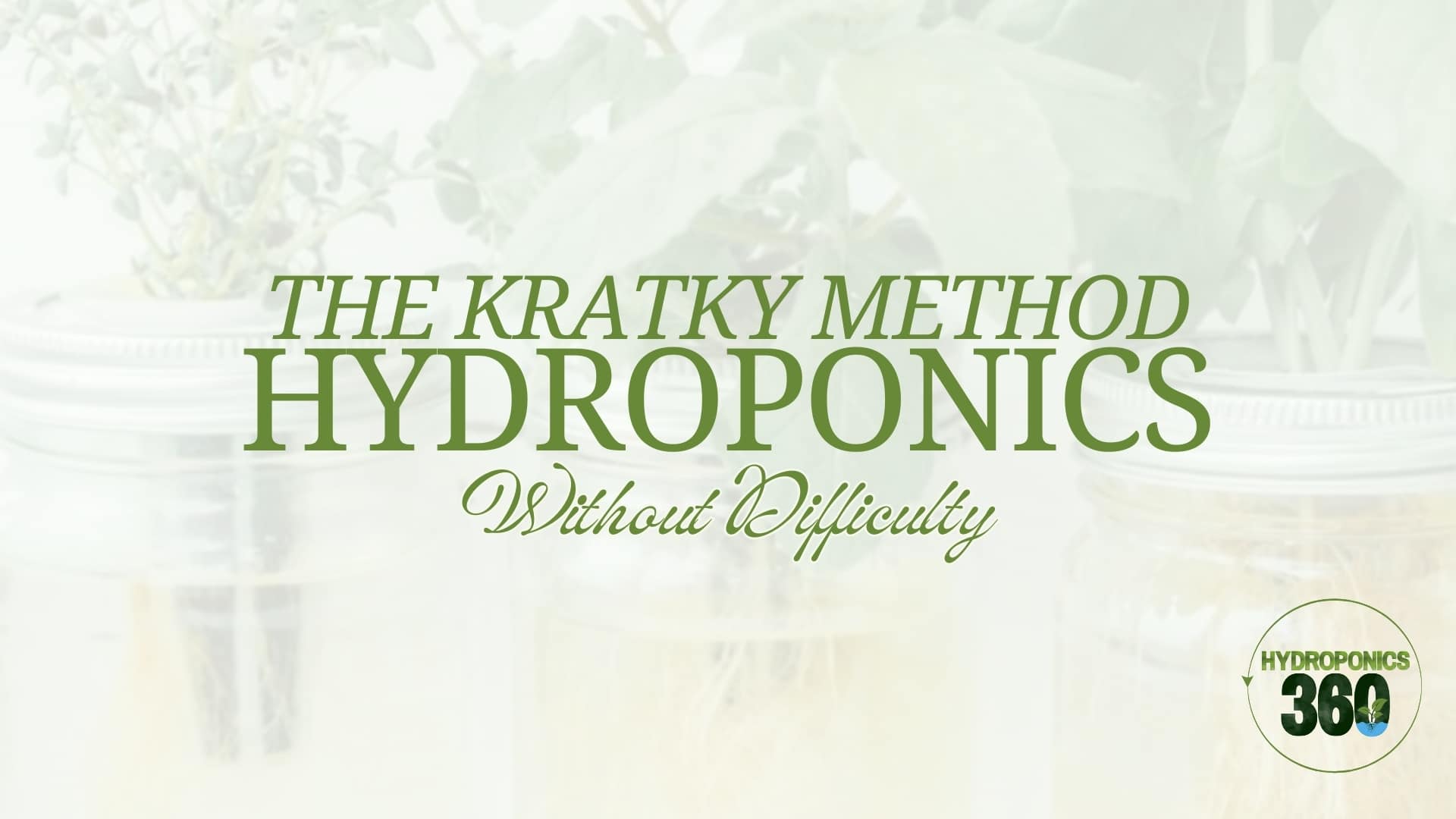 The Kratky Method: Hydroponics without Difficulty