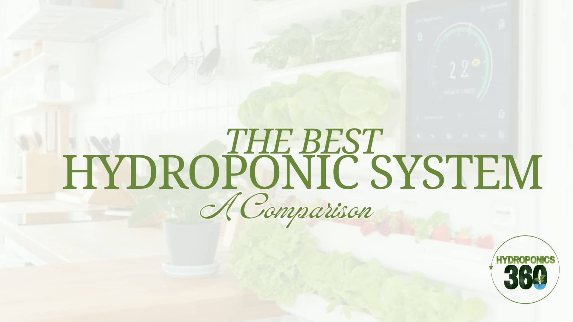 The Best Hydroponic System: A Comparison