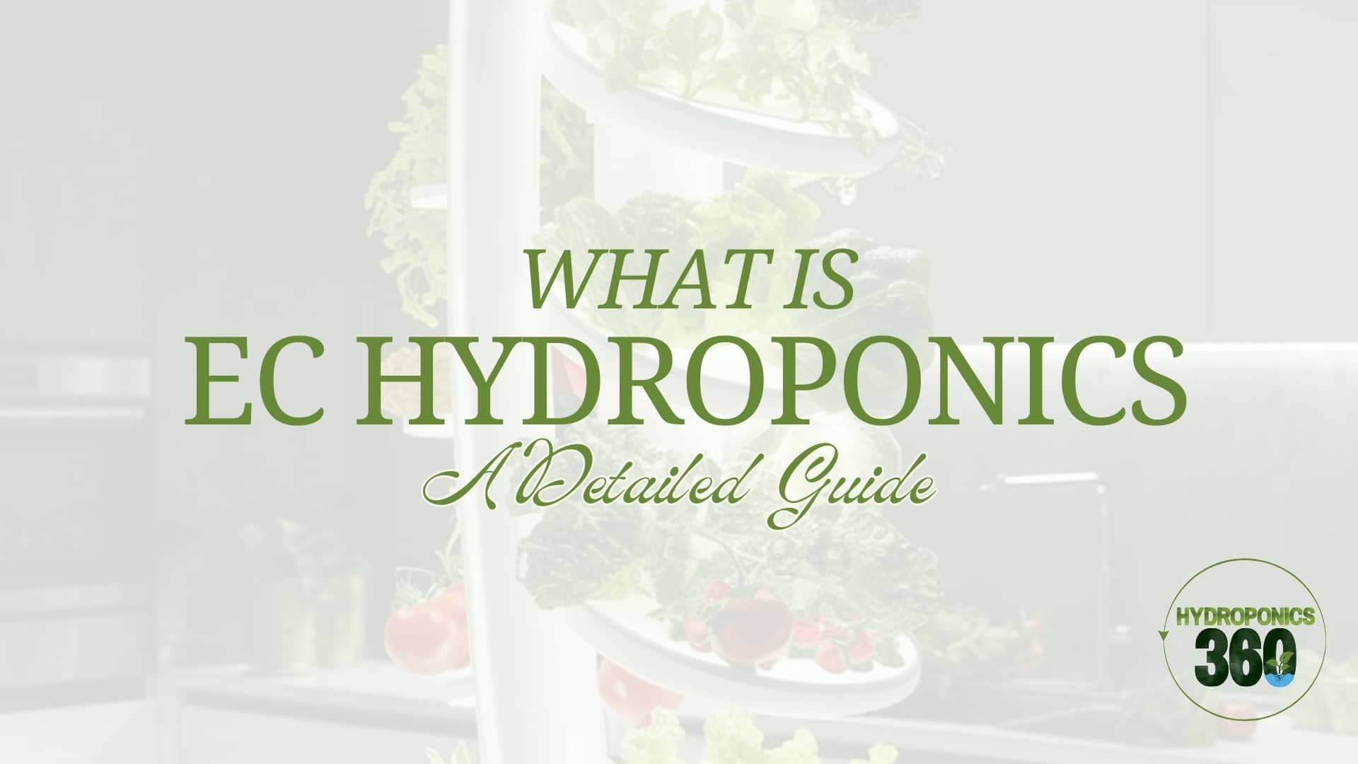 What is EC in Hydroponics? A Detailed Guide 