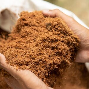 Coco Coir