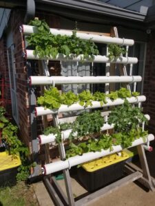 Hydroponic Reservoir
