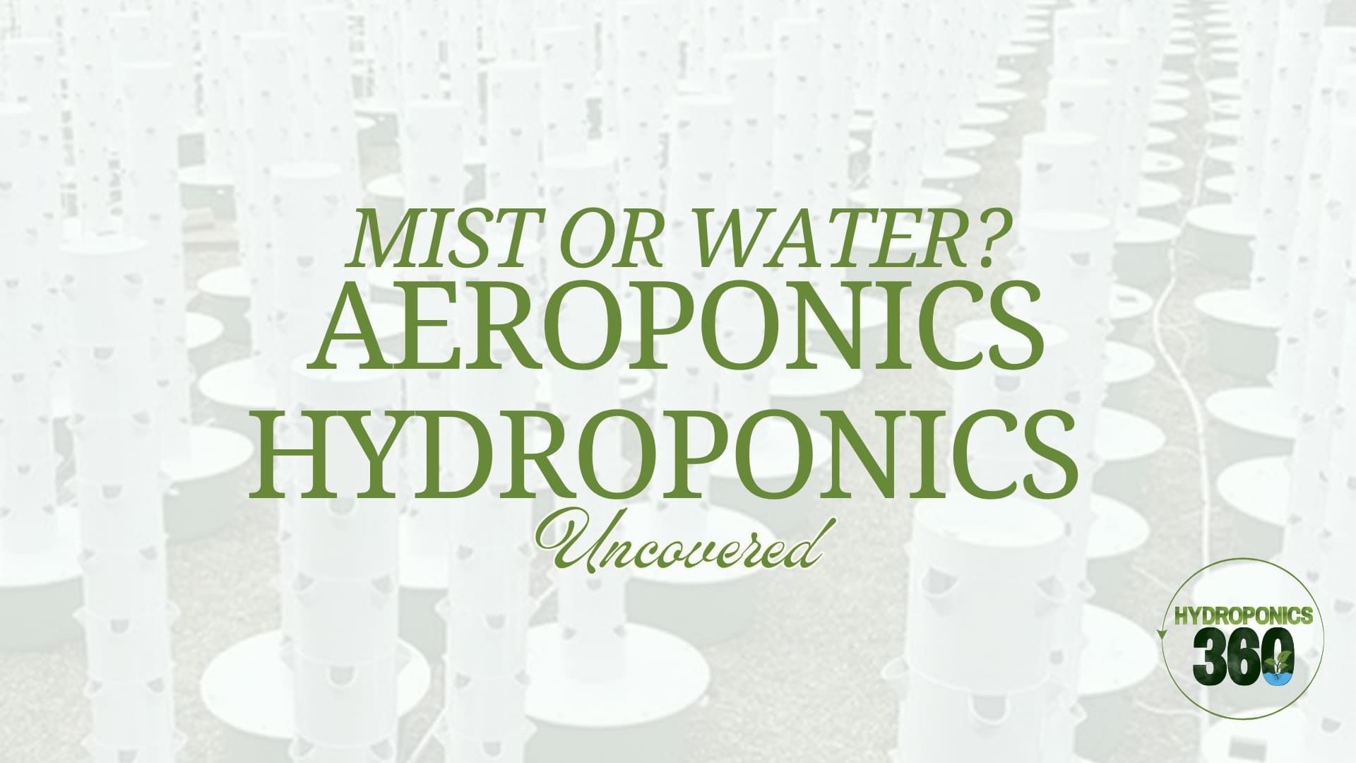 Mist or Water? Aeroponics vs Hydroponics