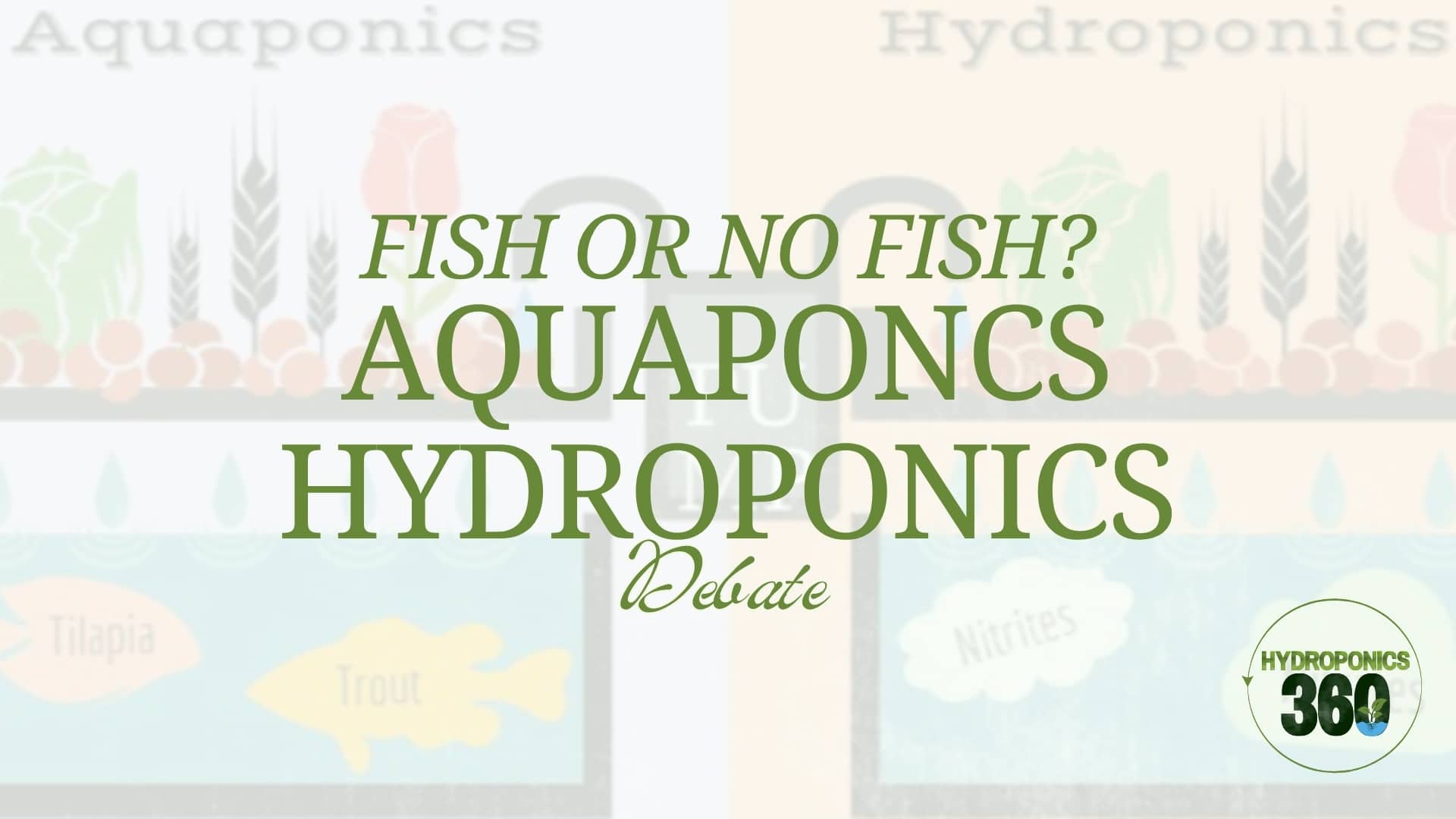 Fish or No Fish? Aquaponics vs Hydroponics Debate