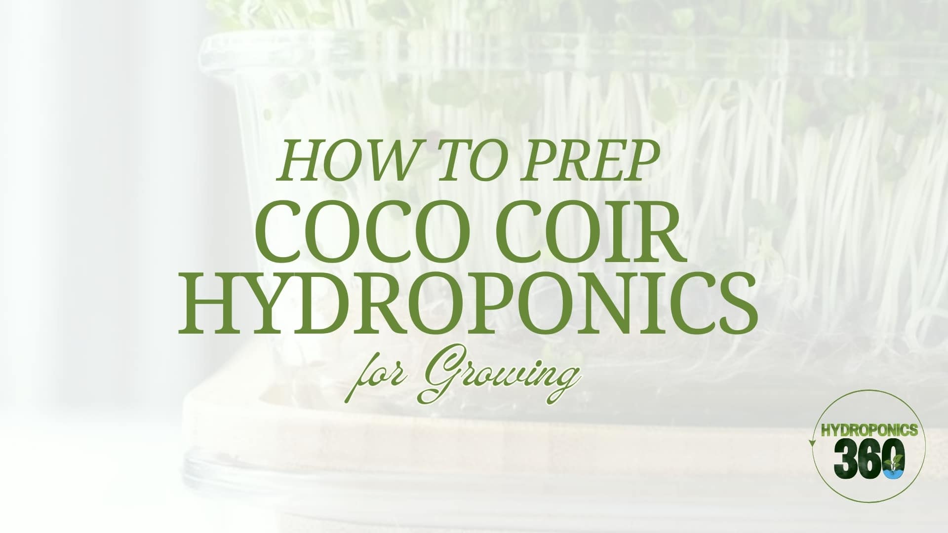 How to Prep Coco Coir for Growing