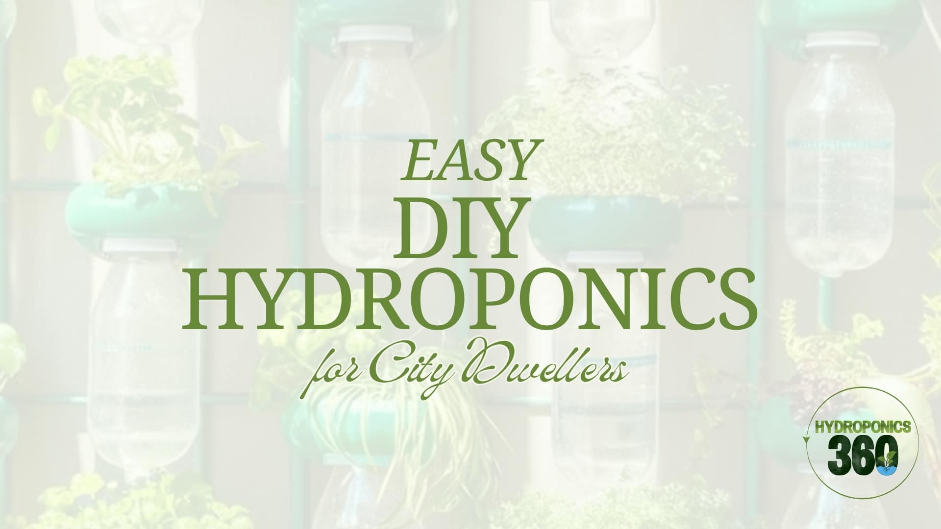 Easy DIY Hydroponics for City Dwellers