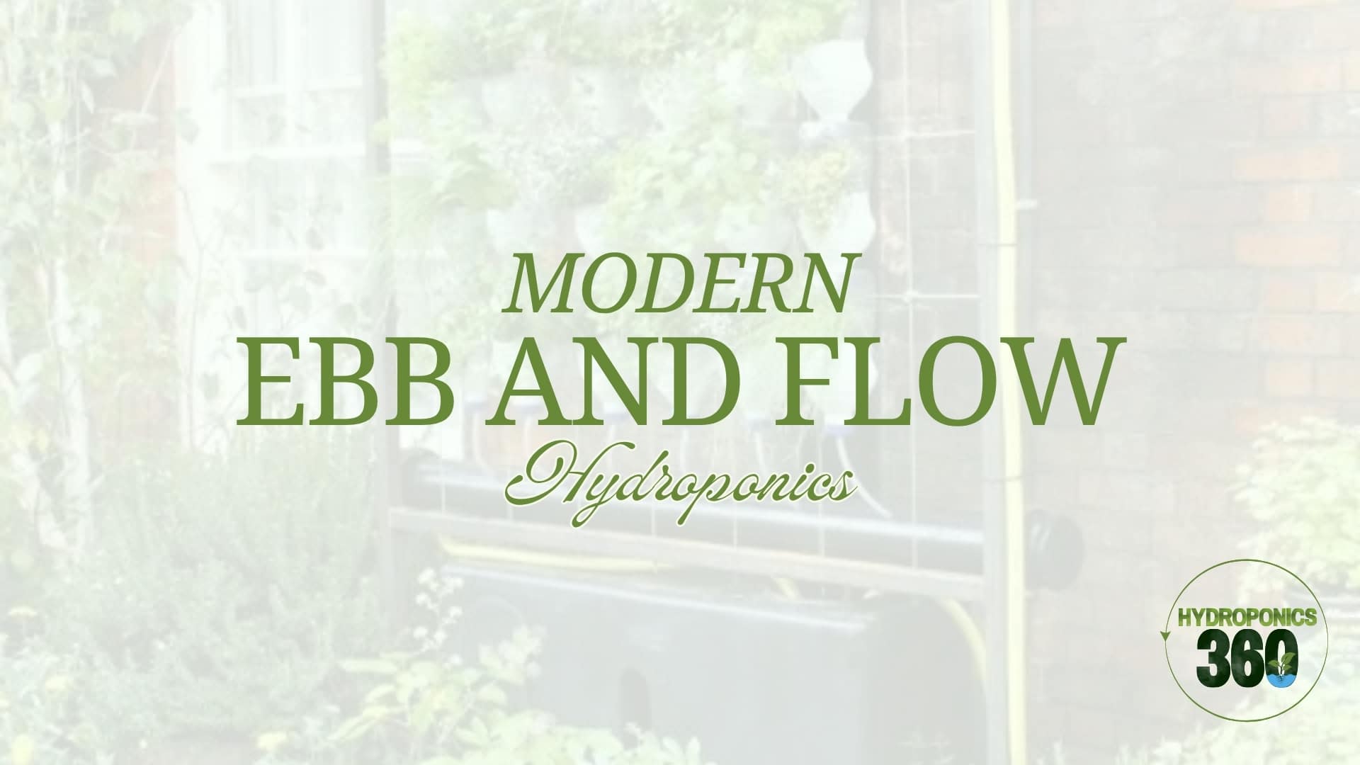 Modern Ebb and Flow Hydroponics
