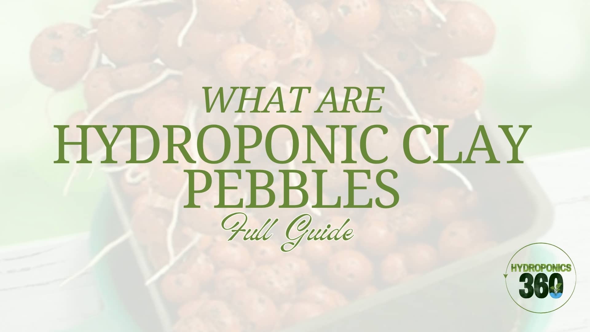What Are Hydroponic Clay Pebbles? Full Guide