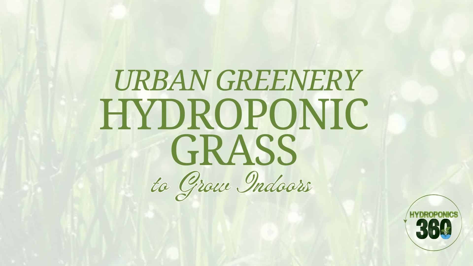Urban Greenery: Hydroponic Grass to Grow Indoors