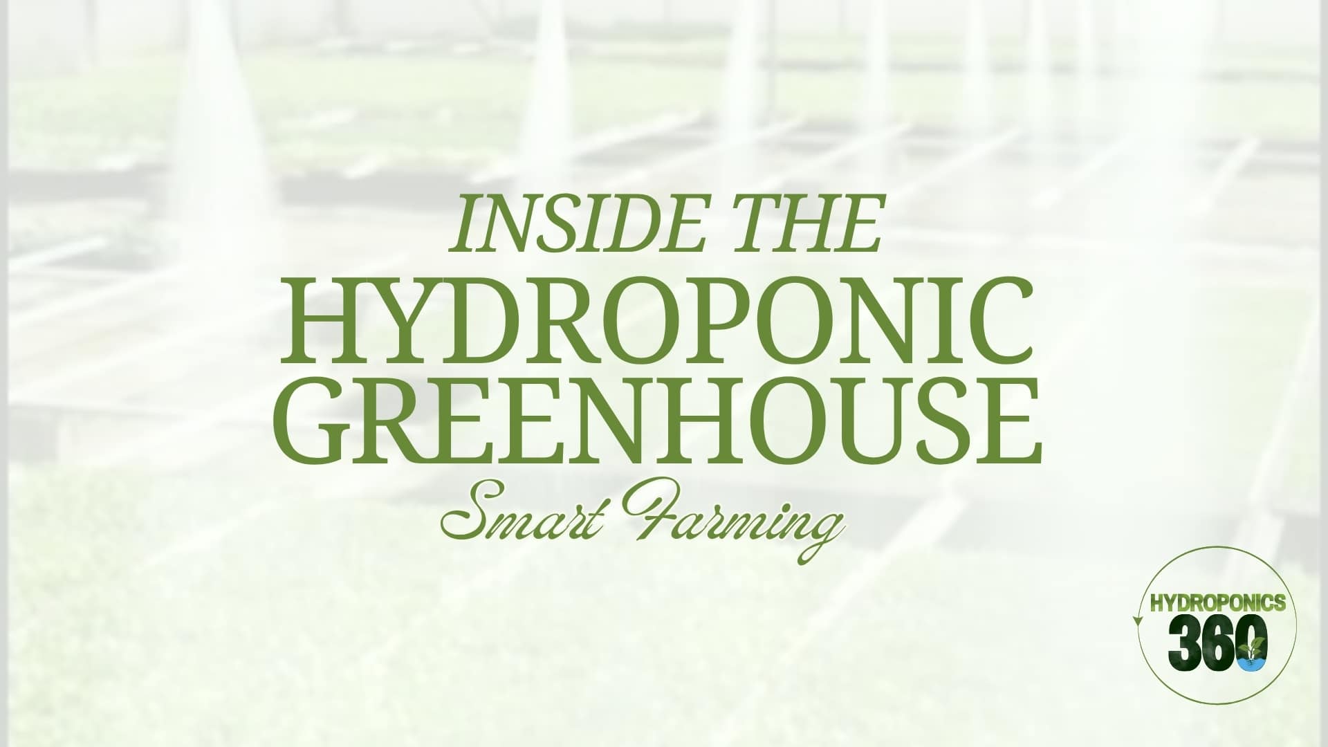 Inside the Hydroponic Greenhouse: Smart Farming 