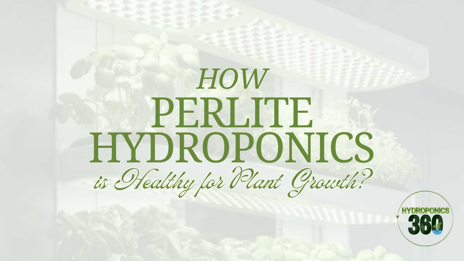 How Perlite Hydroponics is Healthy for Plant Growth?