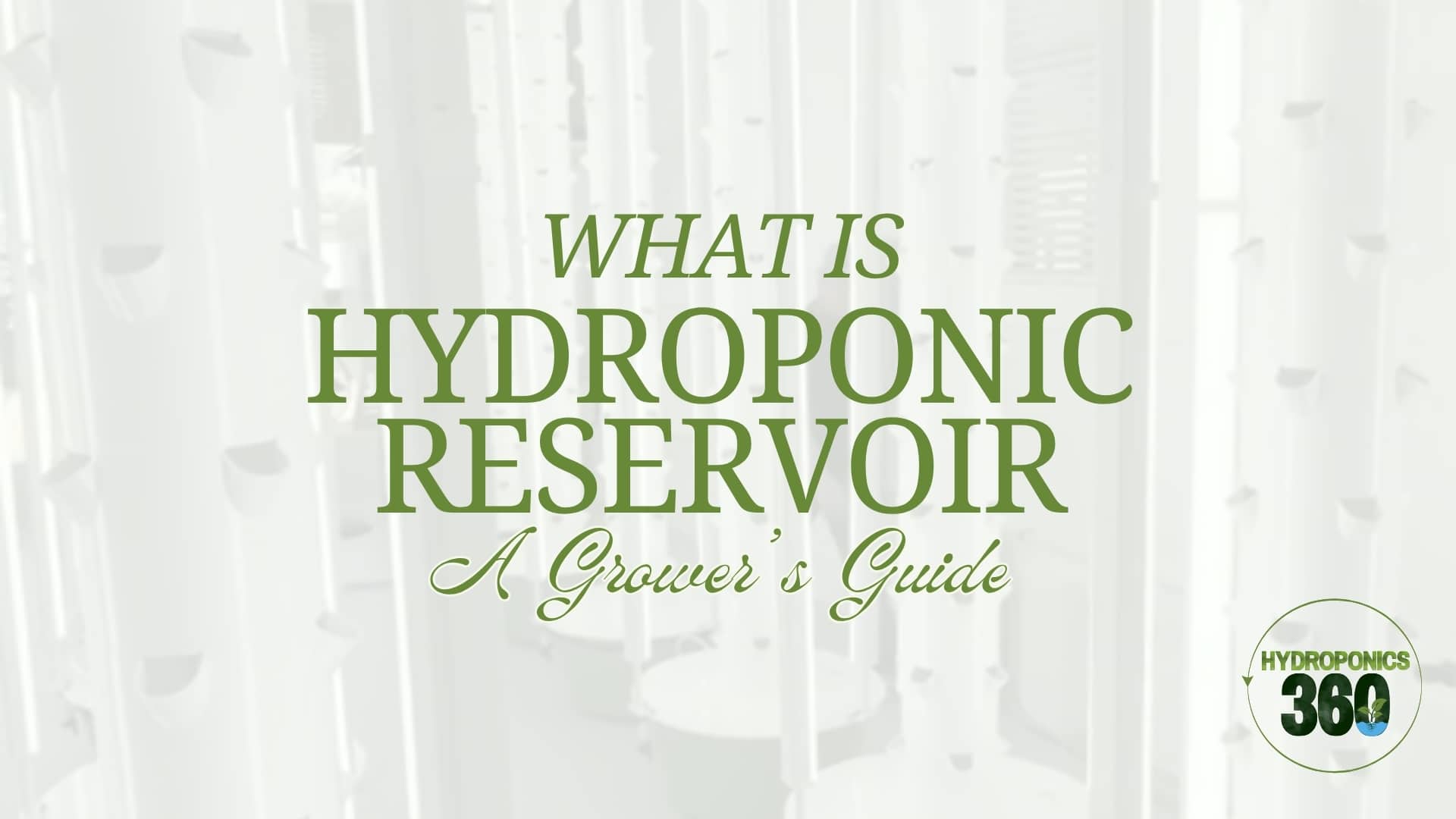 What Is a Hydroponic Reservoir: A Grower’s Guide?