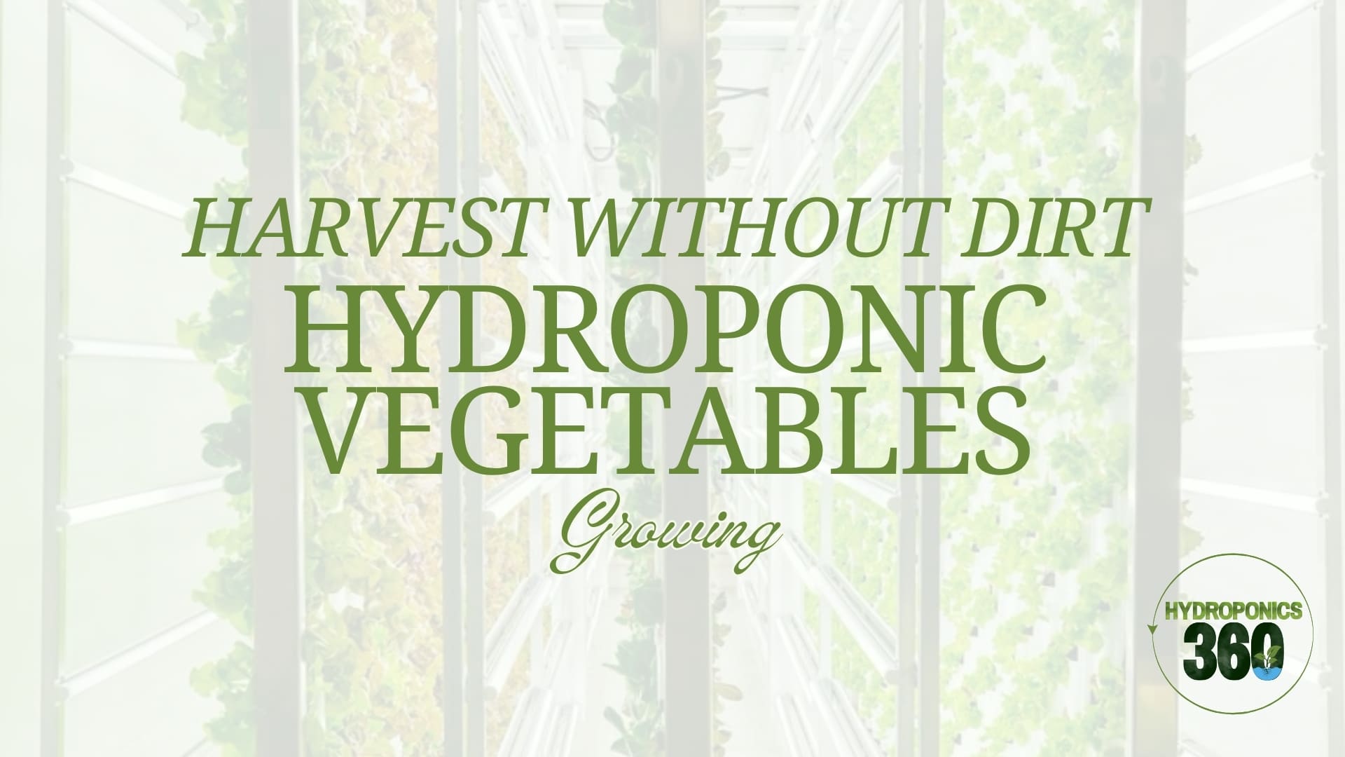 Harvest Without Dirt: Hydroponic Vegetables Growing