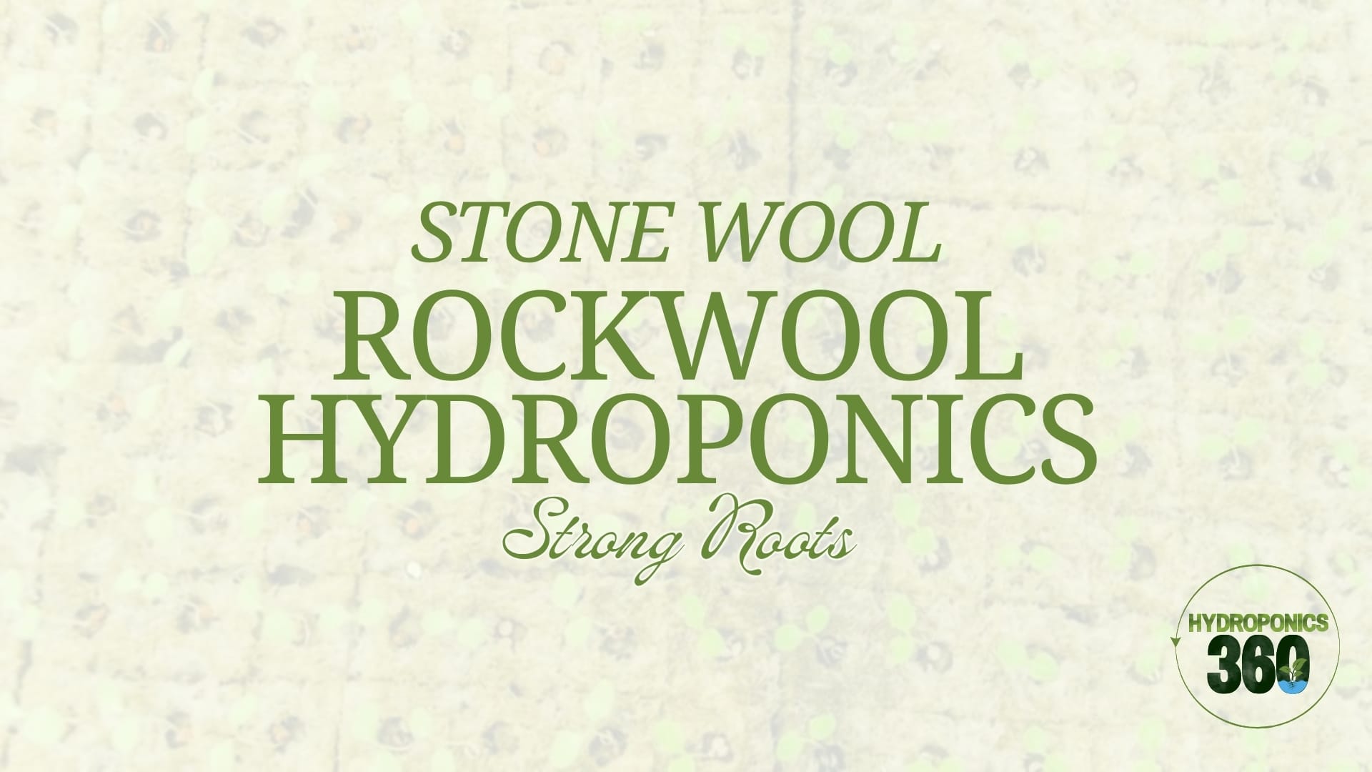 Stone Wool, Strong Roots: Rockwool Hydroponics